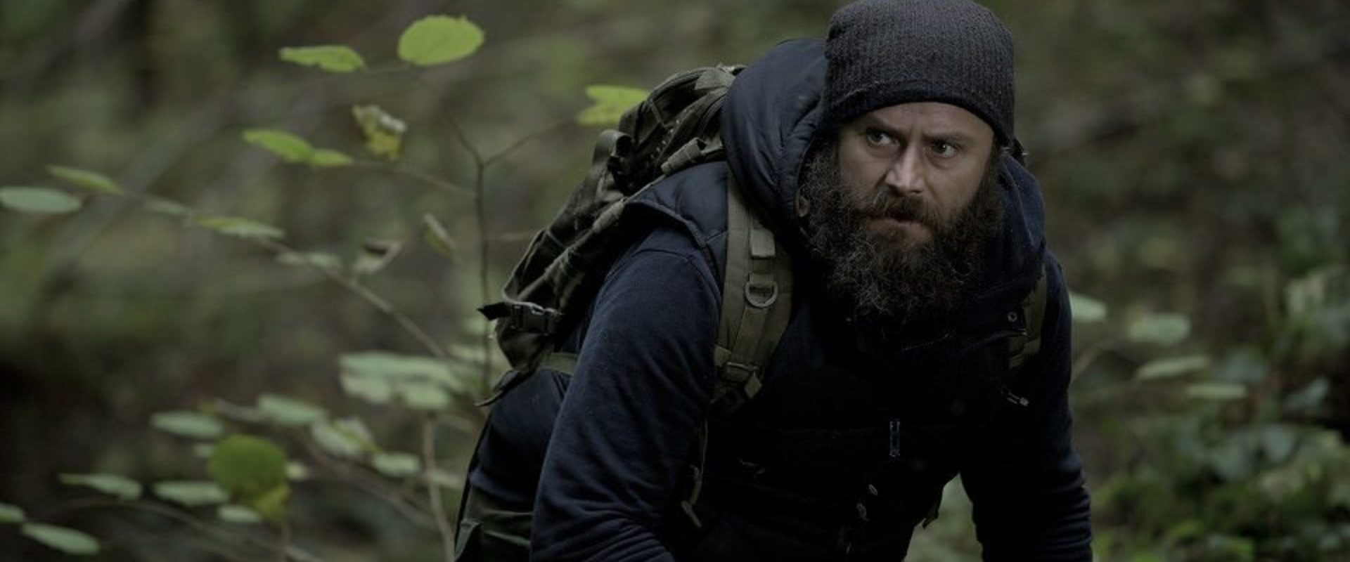 „Drunk History” i „Wataha” nominowane do nagród MISIE 2018