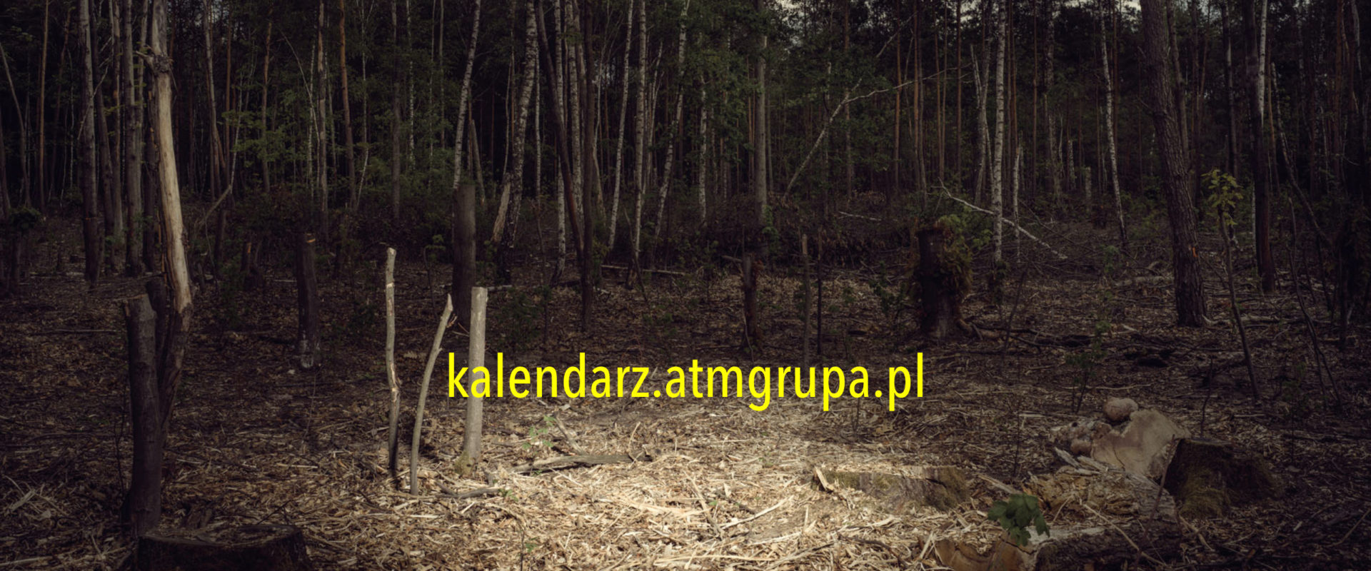 PREMIERA kalendarza ATM Grupy na 2021 rok!